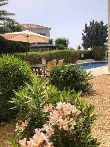 Villa Denis, Marine Drive, Coral Bay Peyia Exterior foto